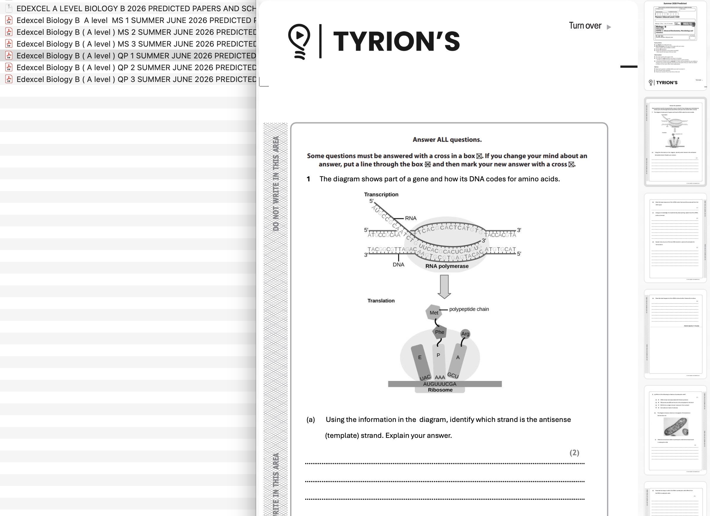Edexcel A Level Biology B 2026 Predicted Papers 9BI0 - Image 2